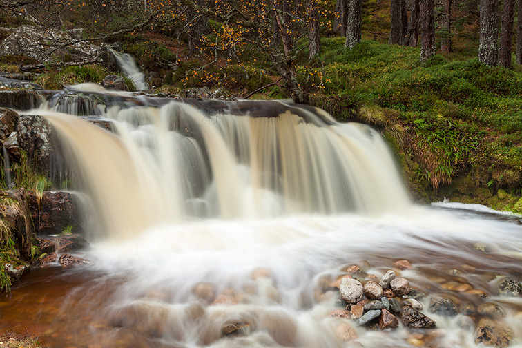 Waterfall in pine forest, Cairngorms National Park, Scotland